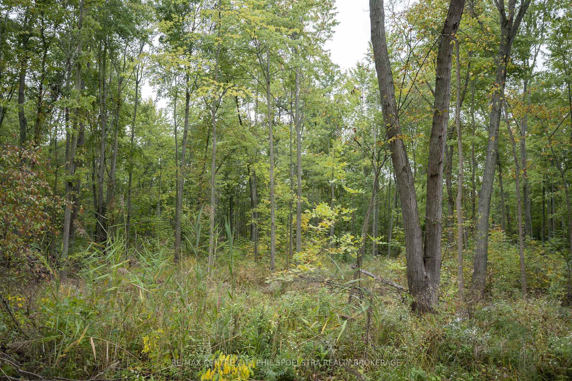 Photo 21 of LT 23-25 Con 10 Holt Line, St. Clair — HOMEH