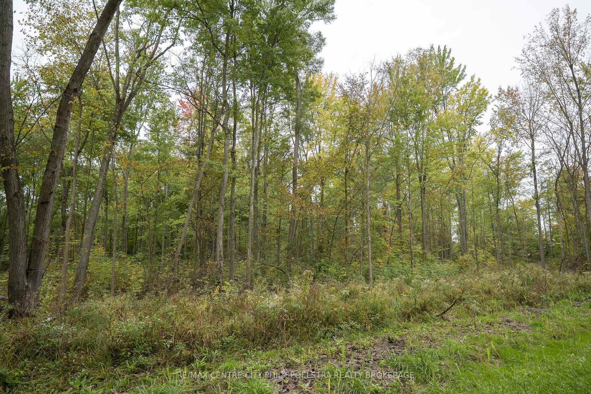 Photo 22 of LT 23-25 Con 10 Holt Line, St. Clair — HOMEH