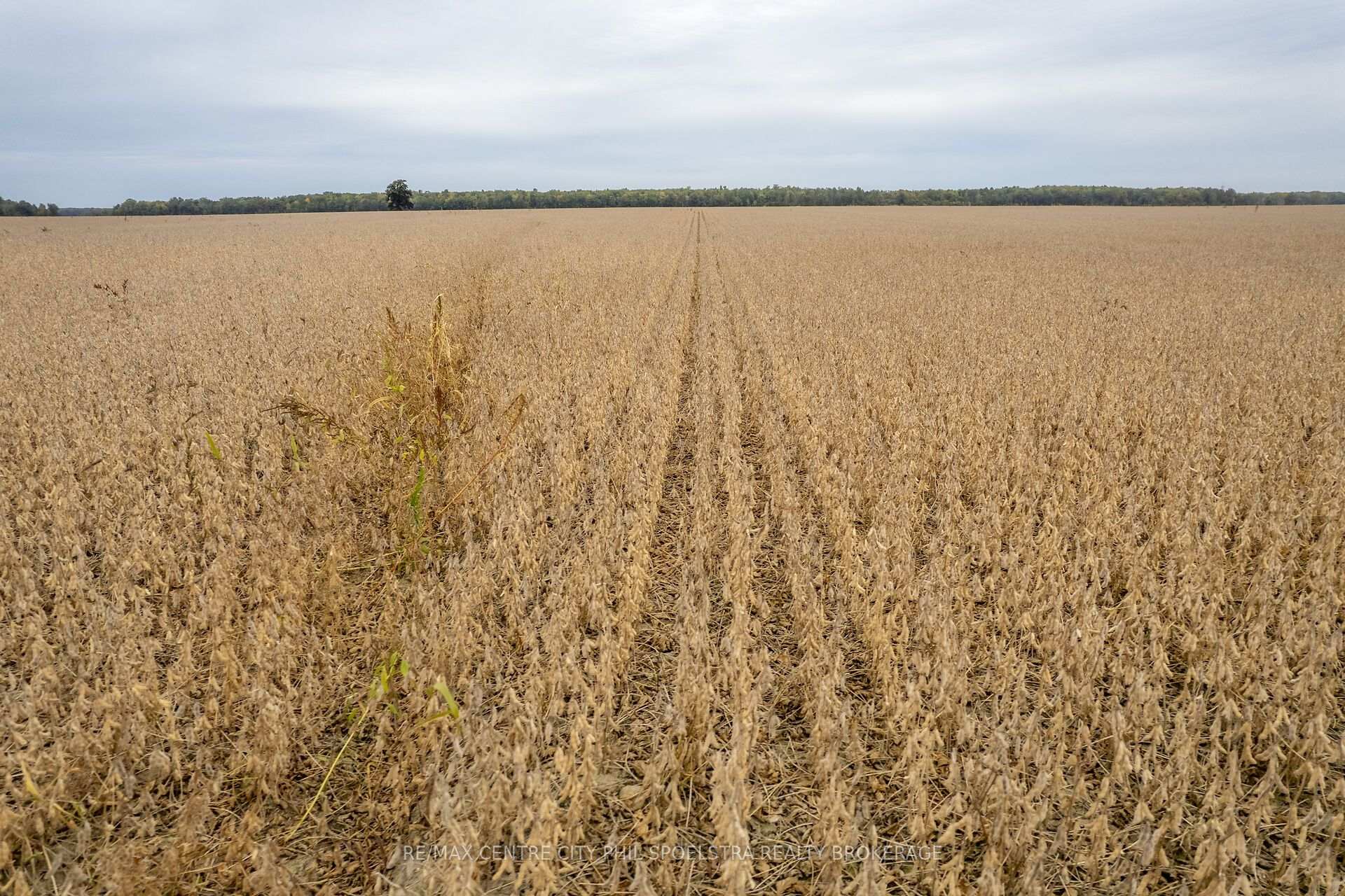 Photo 17 of N1/2 22-23 Conc 9 Holt Line, St. Clair — HOMEH