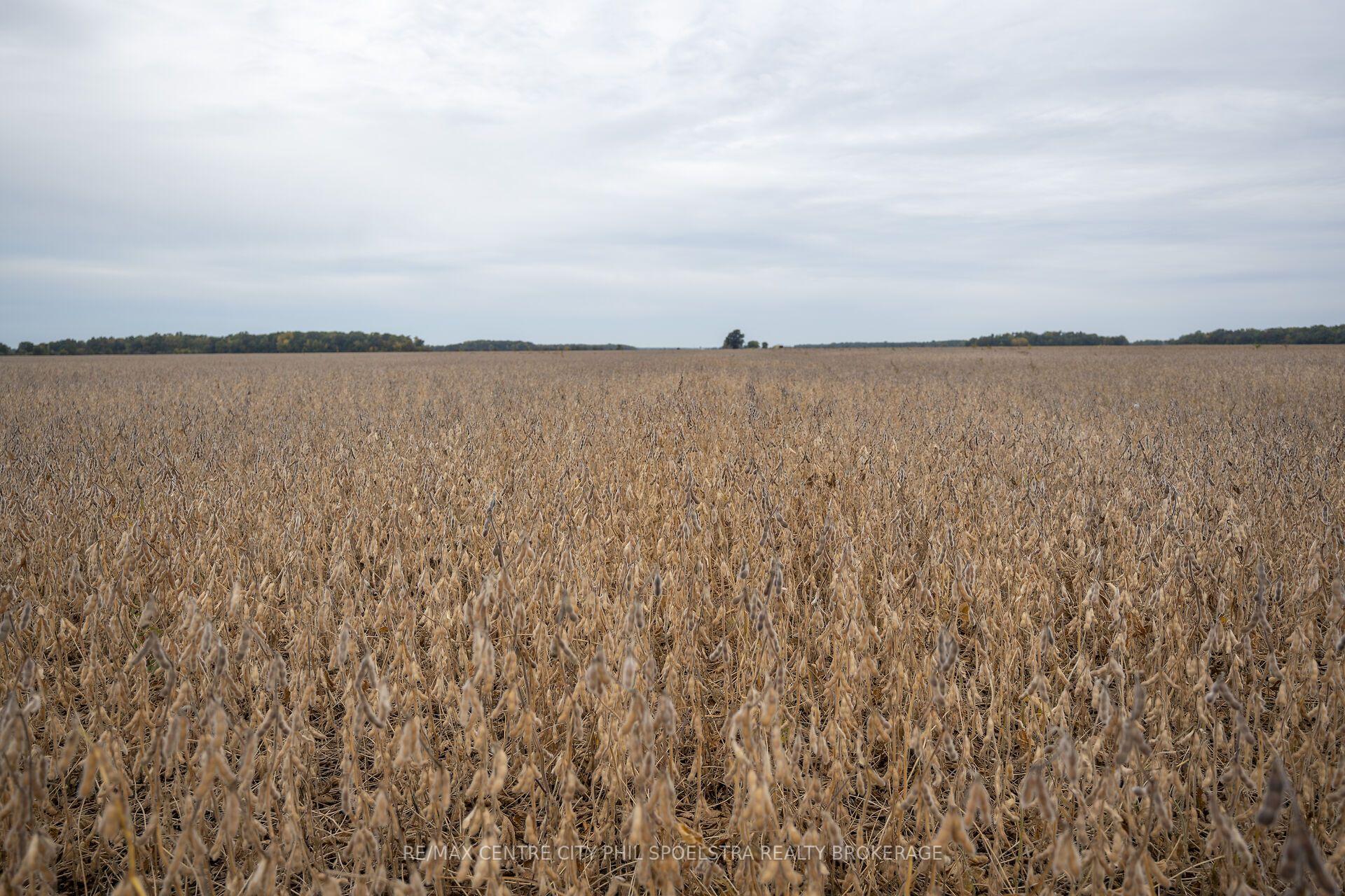 Photo 18 of N1/2 22-23 Conc 9 Holt Line, St. Clair — HOMEH