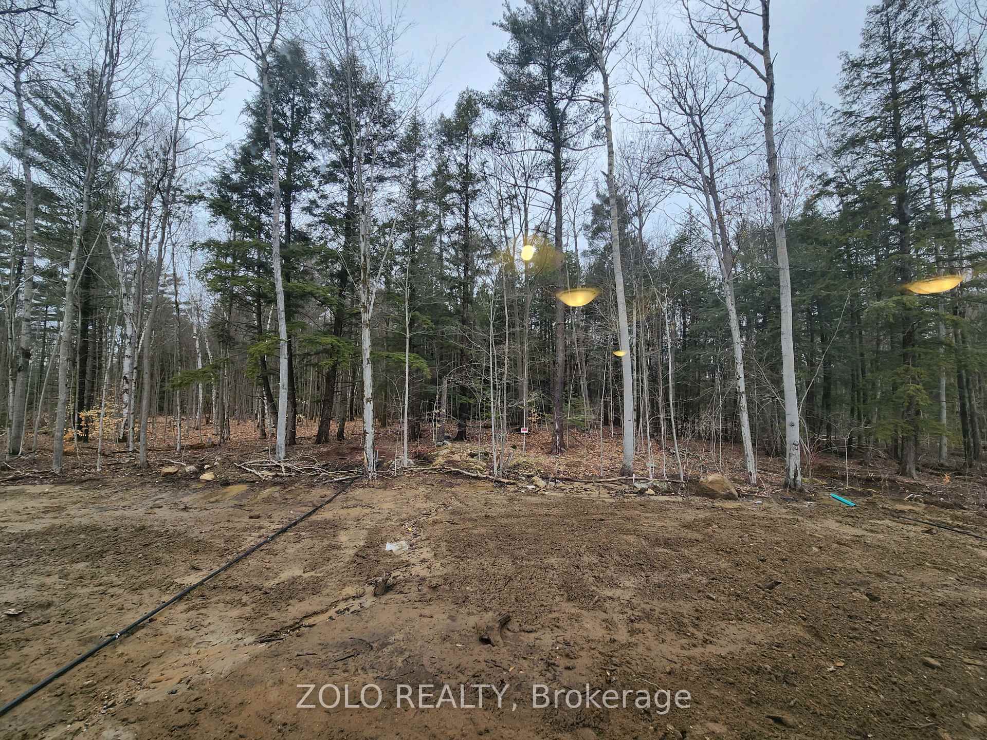 Photo 20 of 455 Beechwood Forest Lane, Gravenhurst, Muskoka (S) — HOMEH