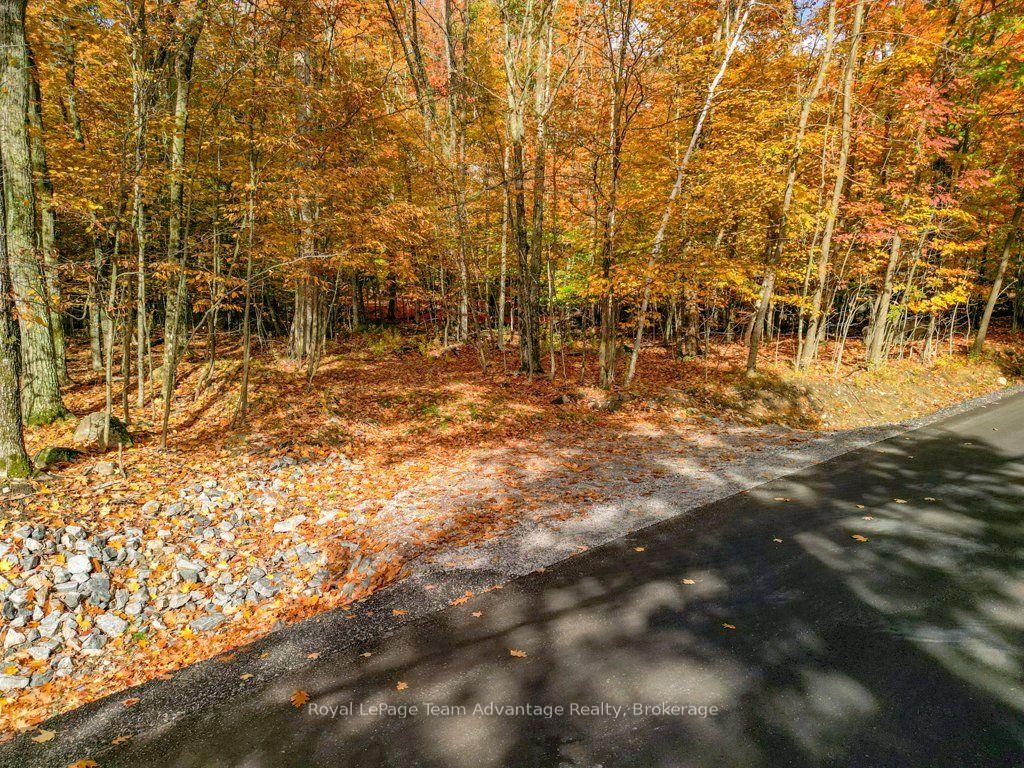 Photo 32 of 129 & 131 Bayview Drive, Carling — HOMEH