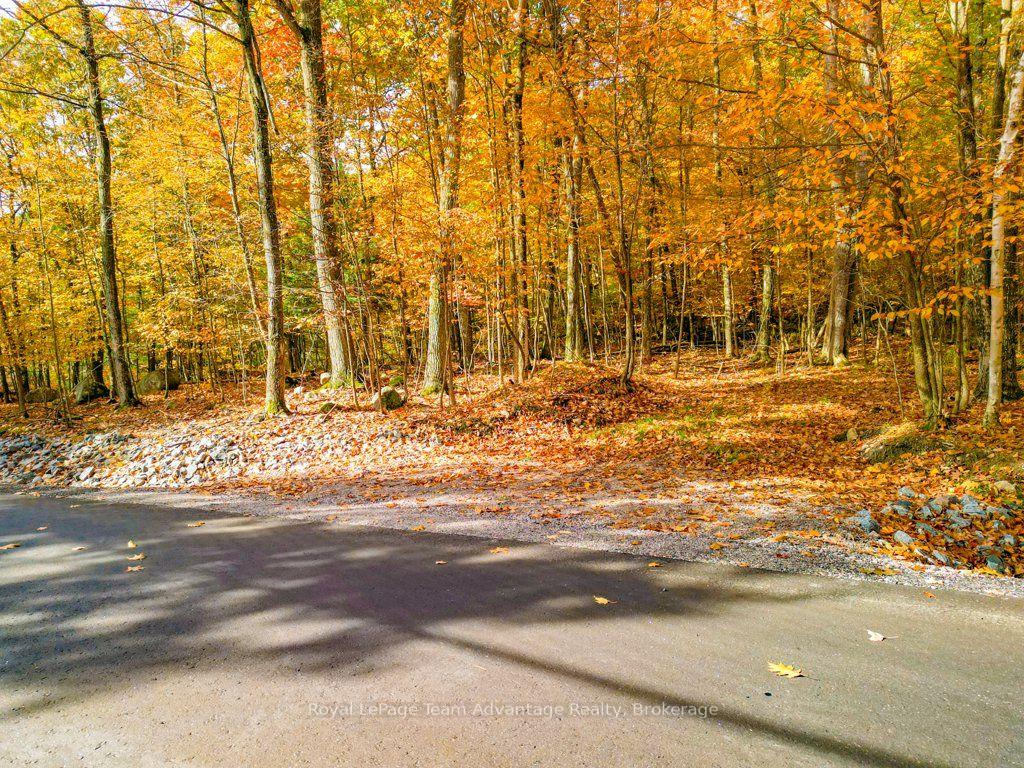 Photo 33 of 129 & 131 Bayview Drive, Carling — HOMEH