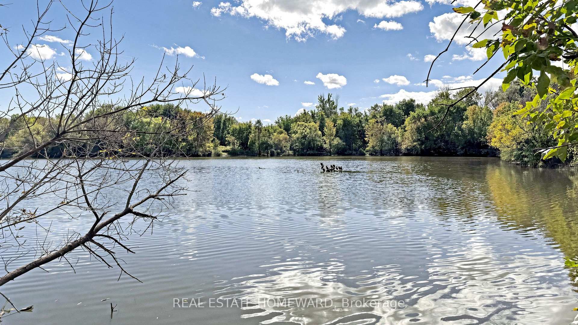 Photo 48 of Unit 604, 55 Austin Drive, Markham, Markville — HOMEH