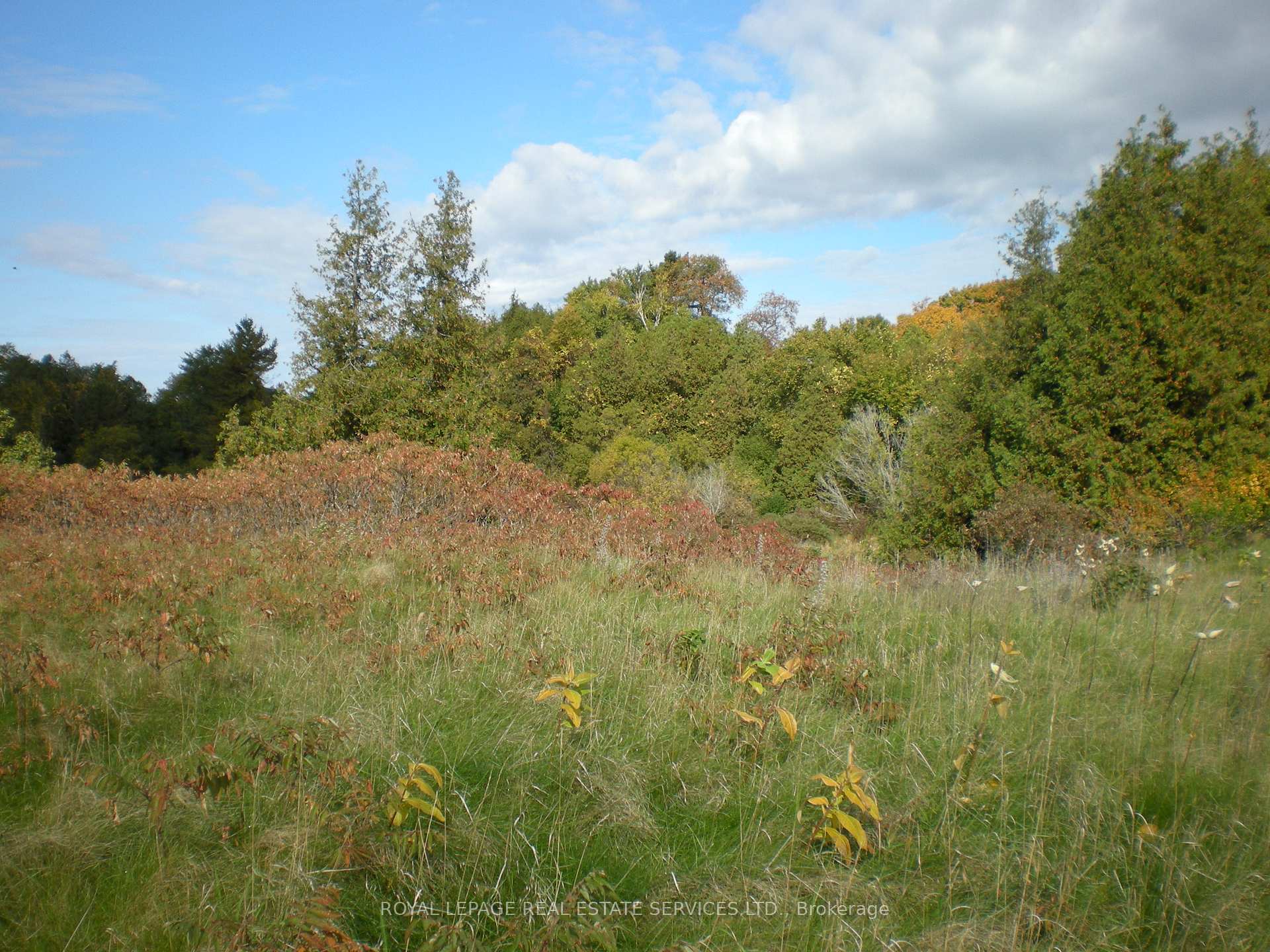 Photo 8 of Lt 27 Pt 2 County Rd 10, Prince Edward County, South Marysburg Ward — HOMEH