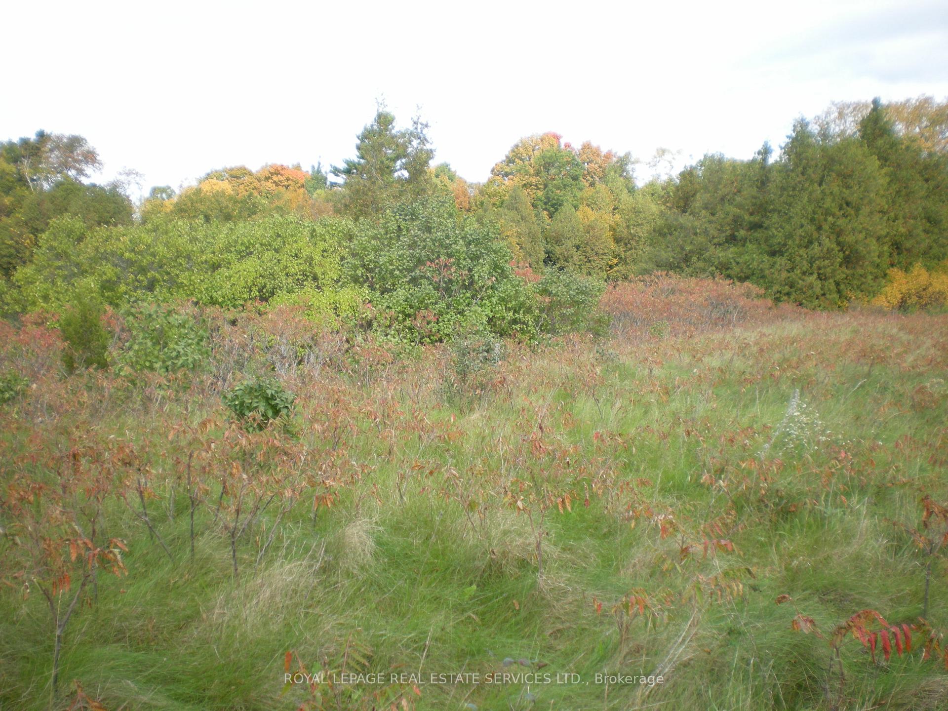 Photo 6 of Lt 27 Pt 3 County Rd 10, Prince Edward County, South Marysburg Ward — HOMEH