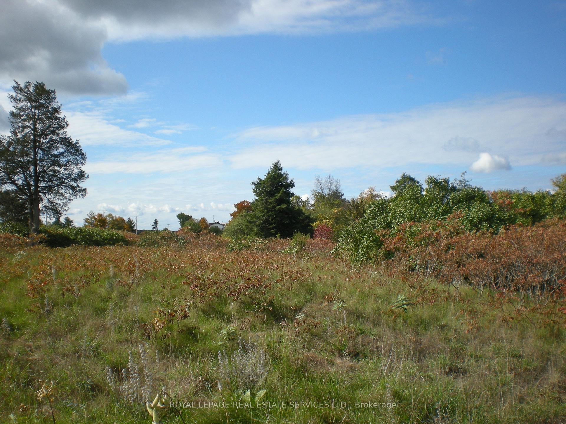 Photo 8 of Lt 27 Pt 3 County Rd 10, Prince Edward County, South Marysburg Ward — HOMEH