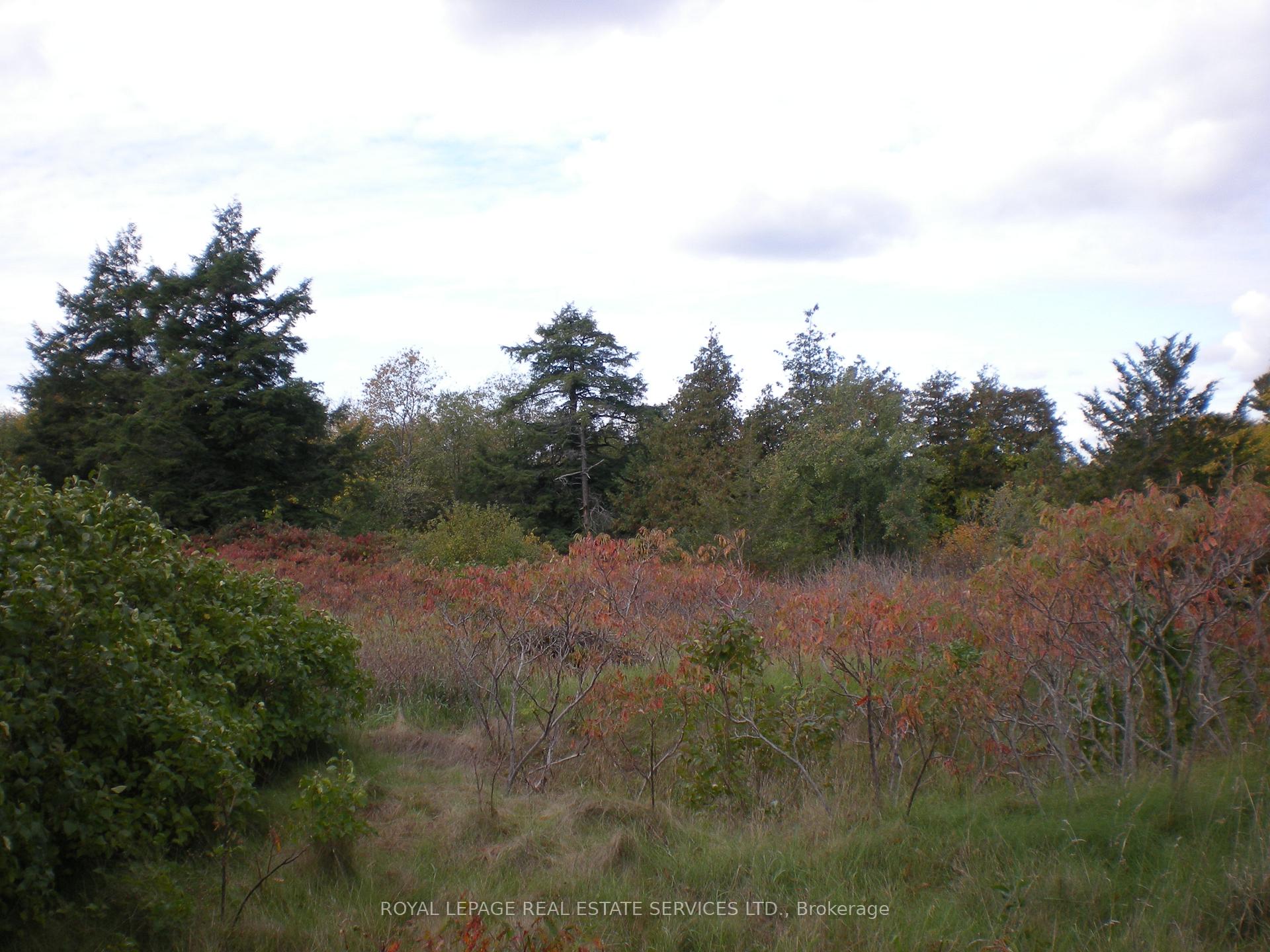 Photo 13 of Lt 27 Pt 3 County Rd 10, Prince Edward County, South Marysburg Ward — HOMEH