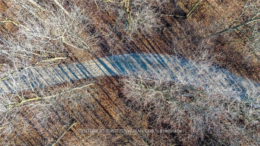 Photo 8 of 29709 Celtic Line S, Dutton/Dunwich, Rural Dutton/Dunwich — HOMEH