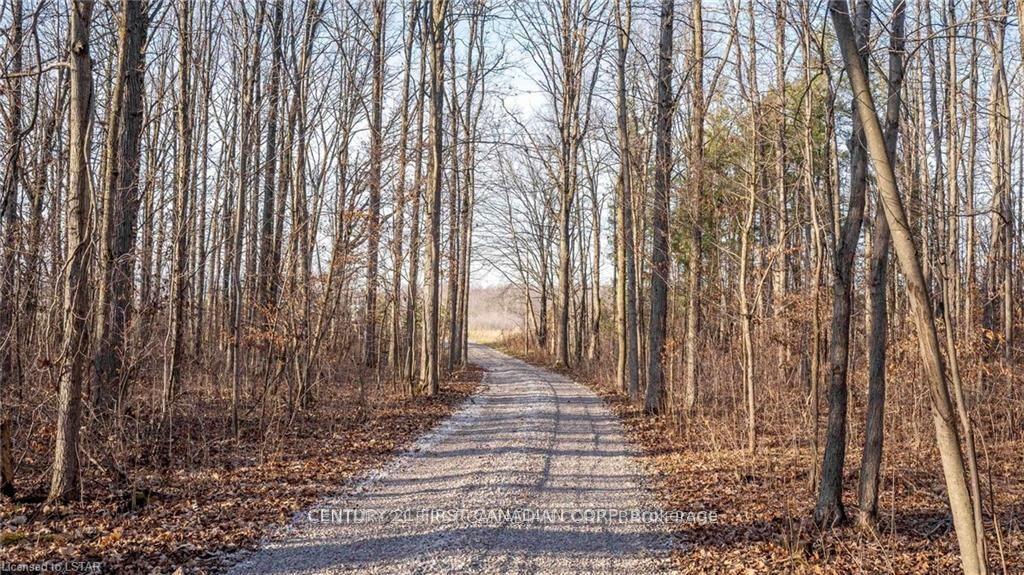 Photo 11 of 29709 Celtic Line S, Dutton/Dunwich, Rural Dutton/Dunwich — HOMEH