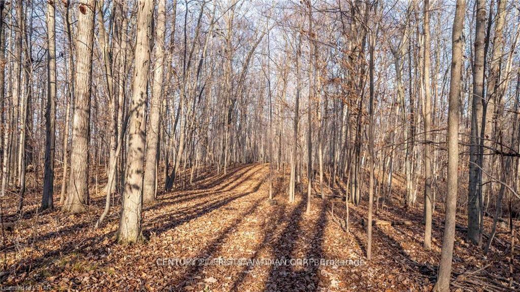 Photo 12 of 29709 Celtic Line S, Dutton/Dunwich, Rural Dutton/Dunwich — HOMEH