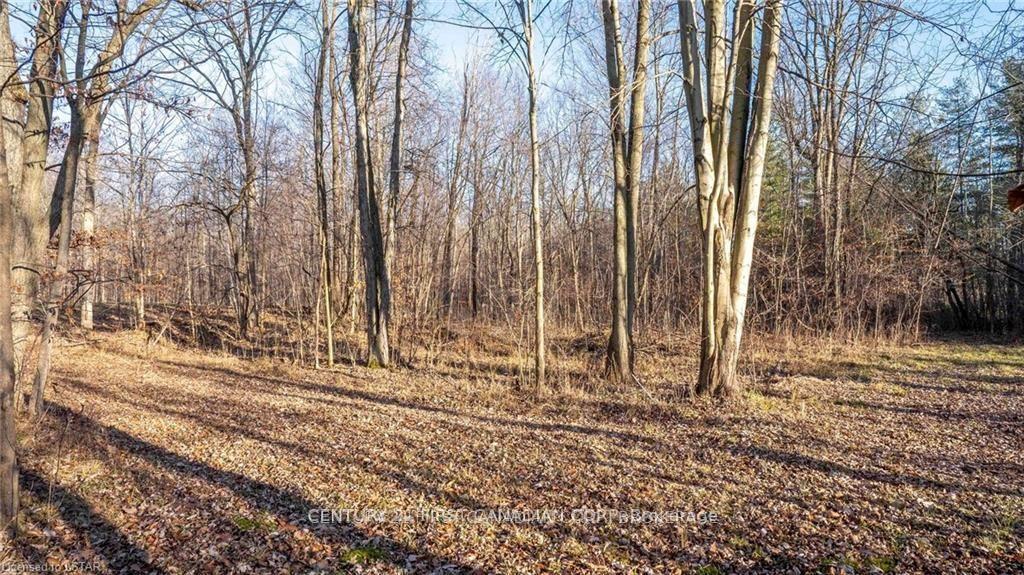 Photo 15 of 29709 Celtic Line S, Dutton/Dunwich, Rural Dutton/Dunwich — HOMEH