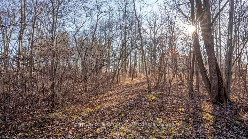 Photo 16 of 29709 Celtic Line S, Dutton/Dunwich, Rural Dutton/Dunwich — HOMEH