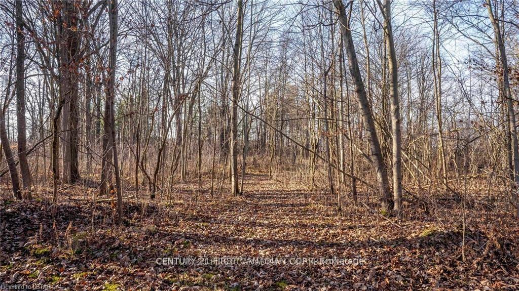 Photo 17 of 29709 Celtic Line S, Dutton/Dunwich, Rural Dutton/Dunwich — HOMEH