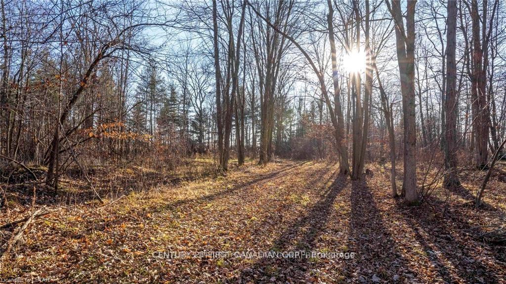 Photo 20 of 29709 Celtic Line S, Dutton/Dunwich, Rural Dutton/Dunwich — HOMEH