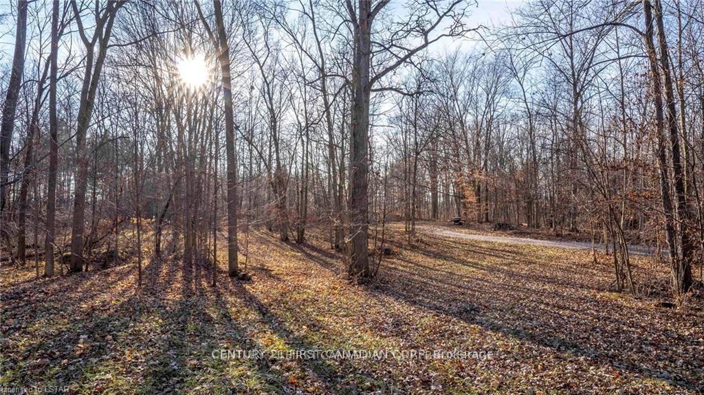 Photo 21 of 29709 Celtic Line S, Dutton/Dunwich, Rural Dutton/Dunwich — HOMEH