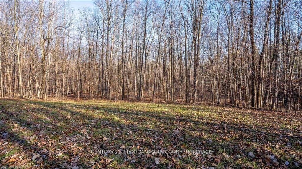 Photo 22 of 29709 Celtic Line S, Dutton/Dunwich, Rural Dutton/Dunwich — HOMEH