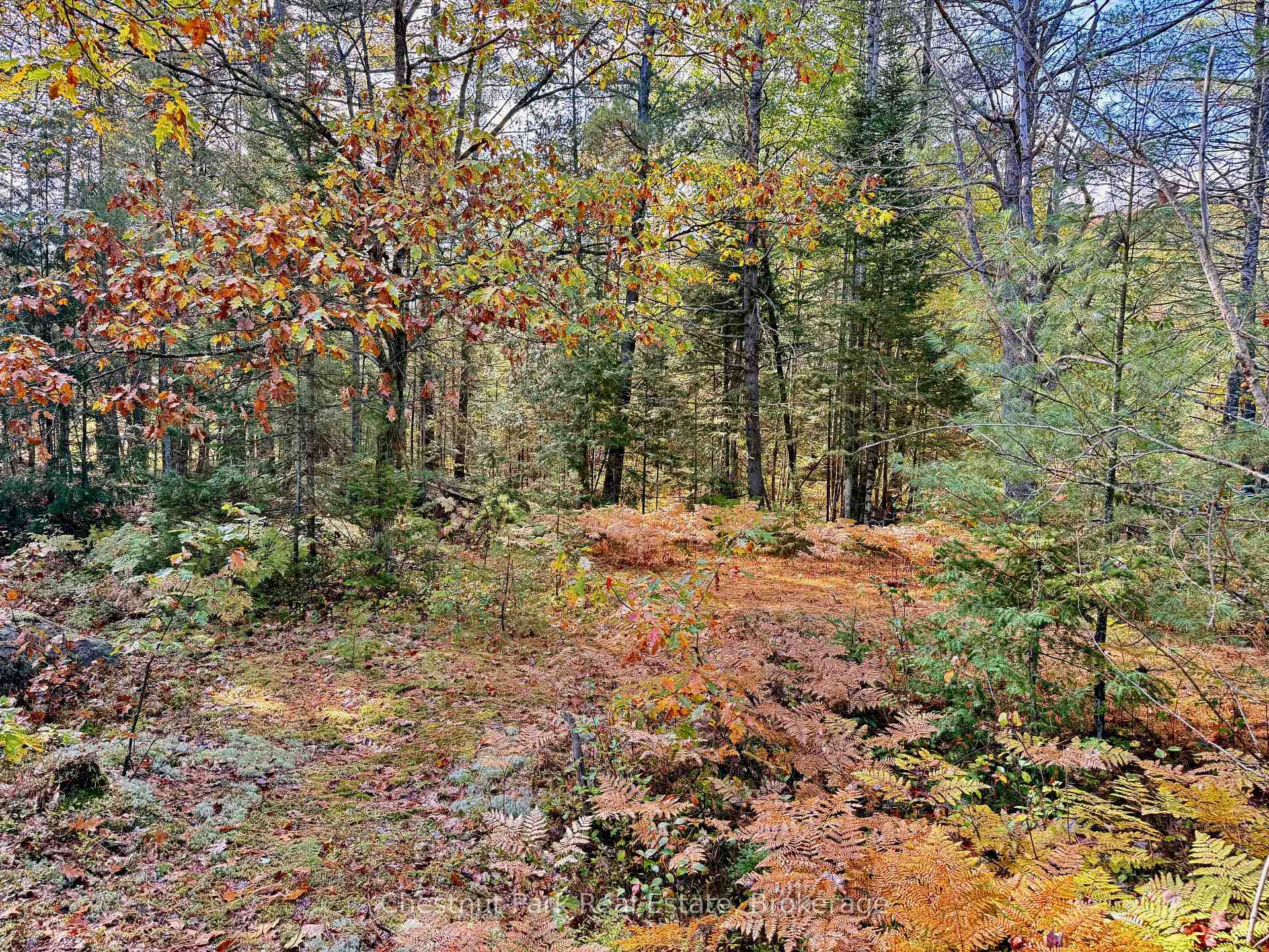 Photo 27 of 1041 Holiday Park Drive, Bracebridge, Macaulay — HOMEH