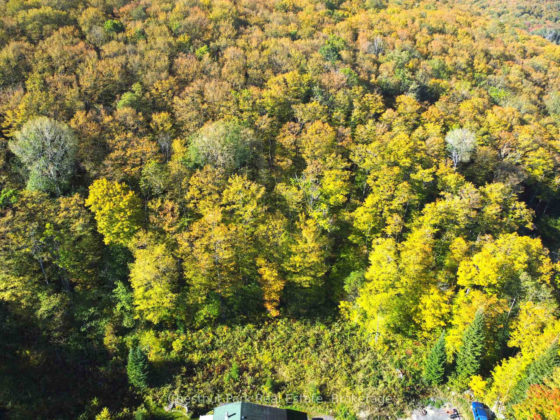 Photo 47 of 421 Peggs Mountain Road, Ryerson — HOMEH