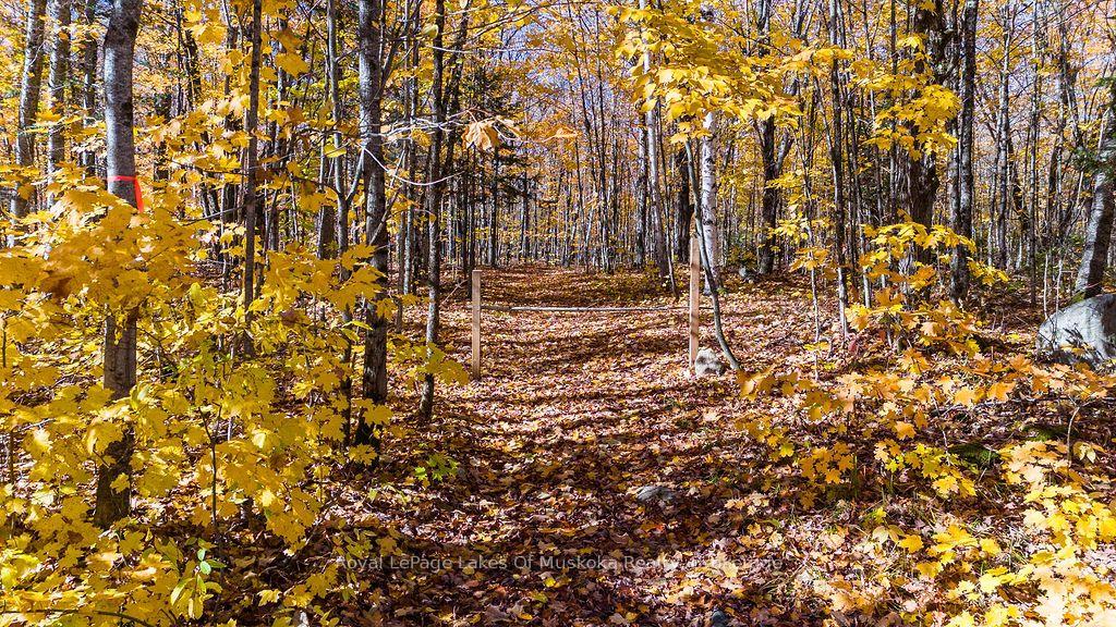 Photo 4 of Lakeshore Road, Armour — HOMEH