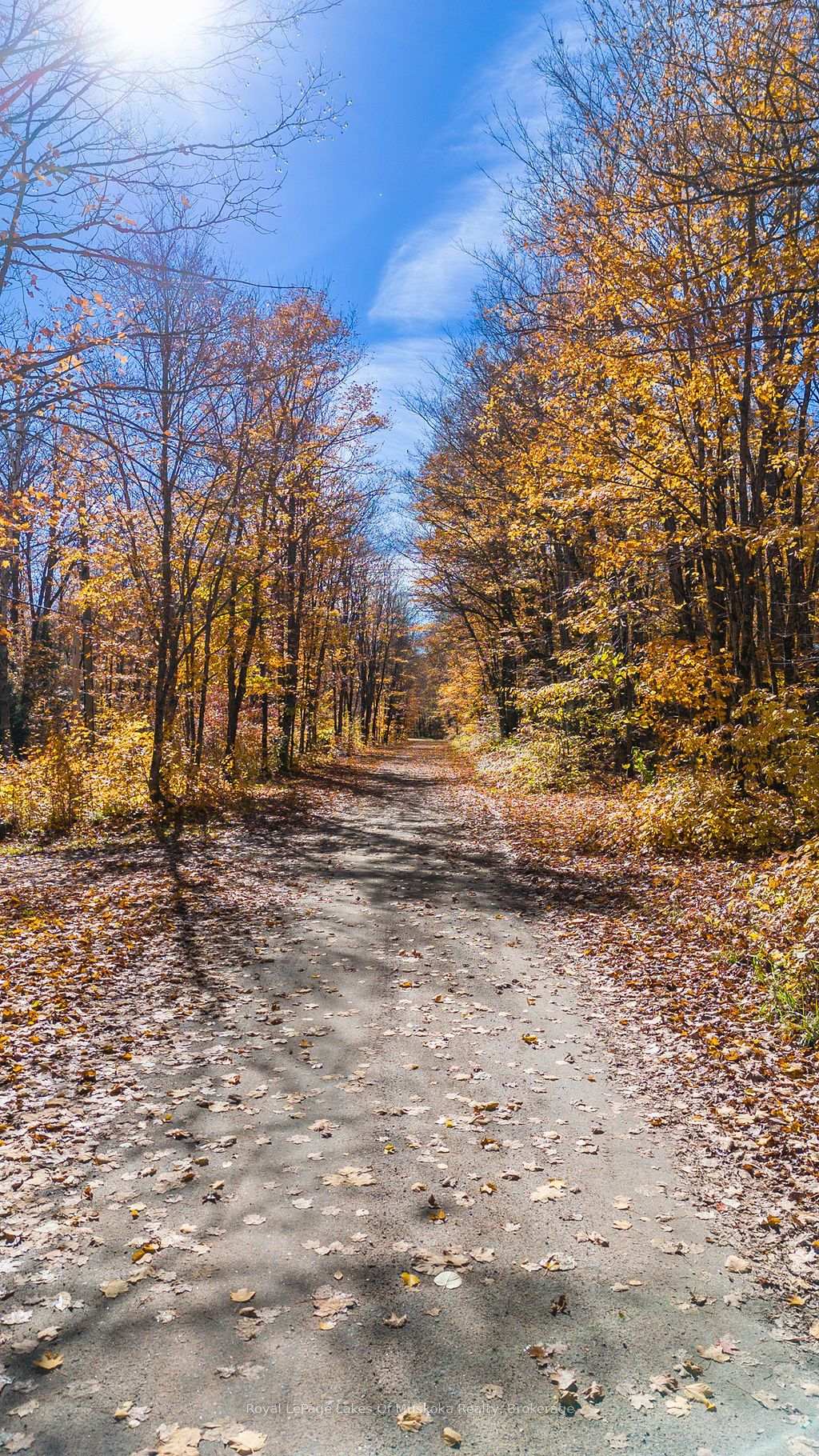 Photo 5 of Lakeshore Road, Armour — HOMEH