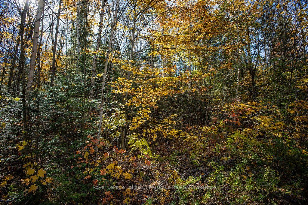 Photo 8 of Lakeshore Road, Armour — HOMEH