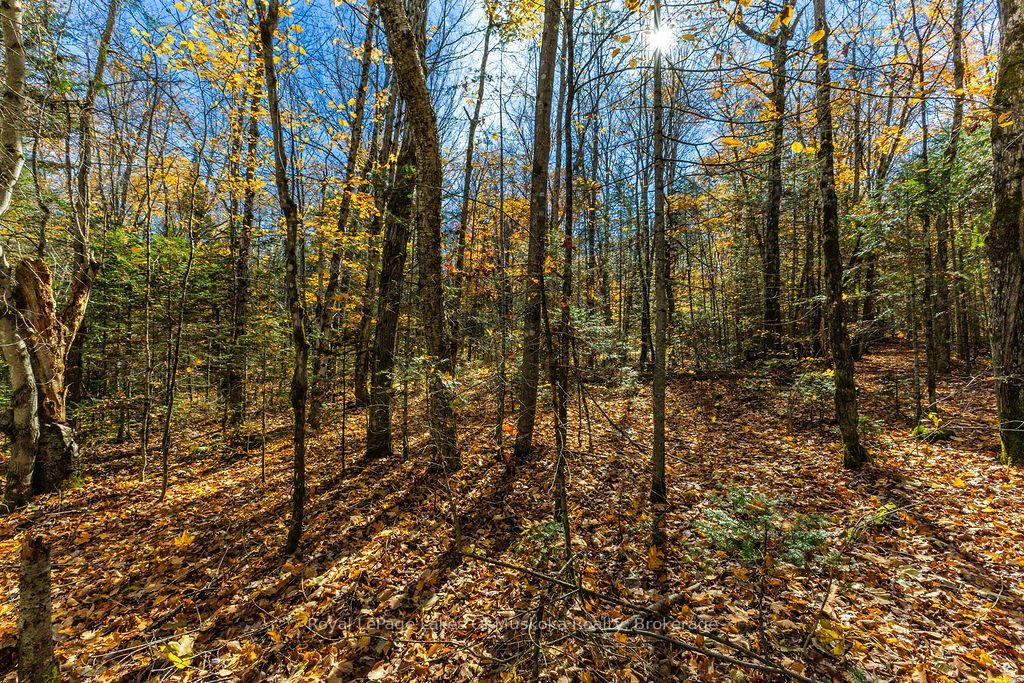 Photo 9 of Lakeshore Road, Armour — HOMEH