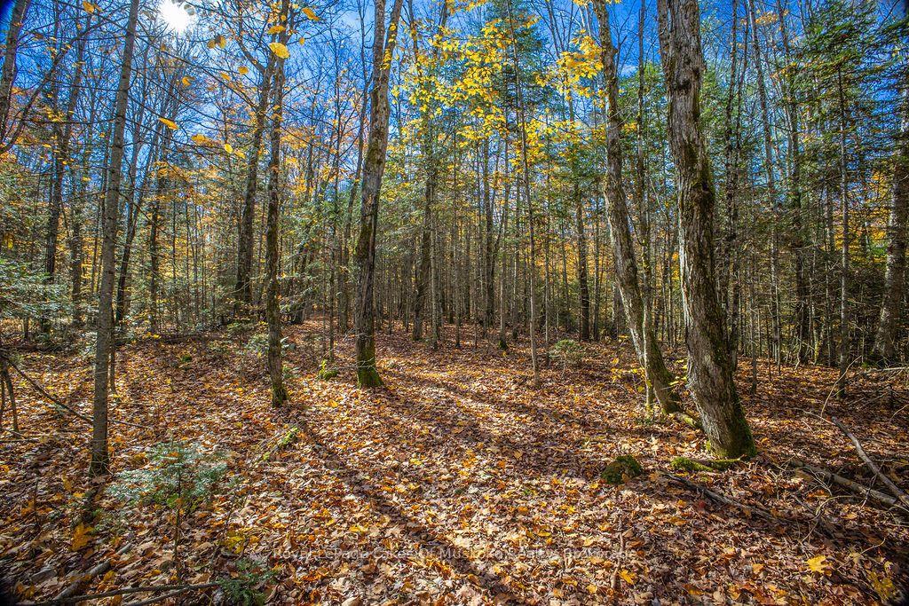 Photo 10 of Lakeshore Road, Armour — HOMEH