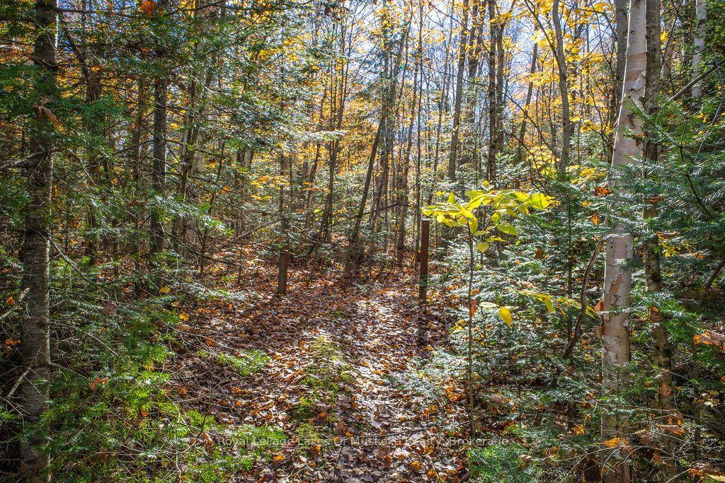 Photo 11 of Lakeshore Road, Armour — HOMEH