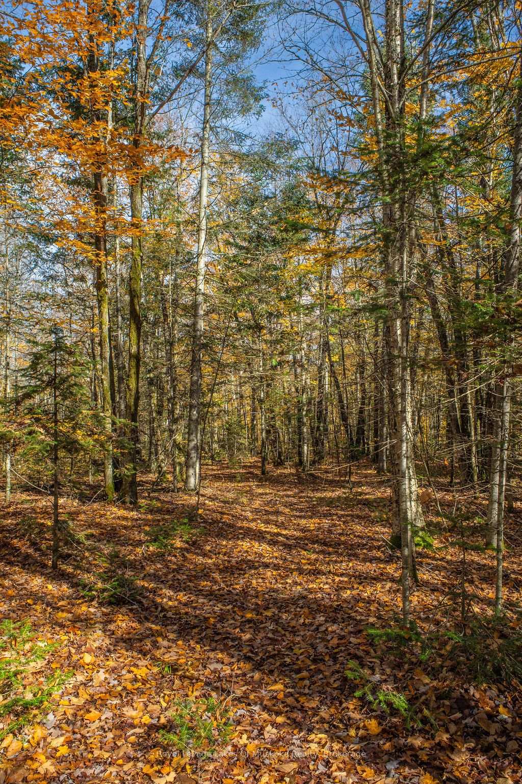 Photo 12 of Lakeshore Road, Armour — HOMEH
