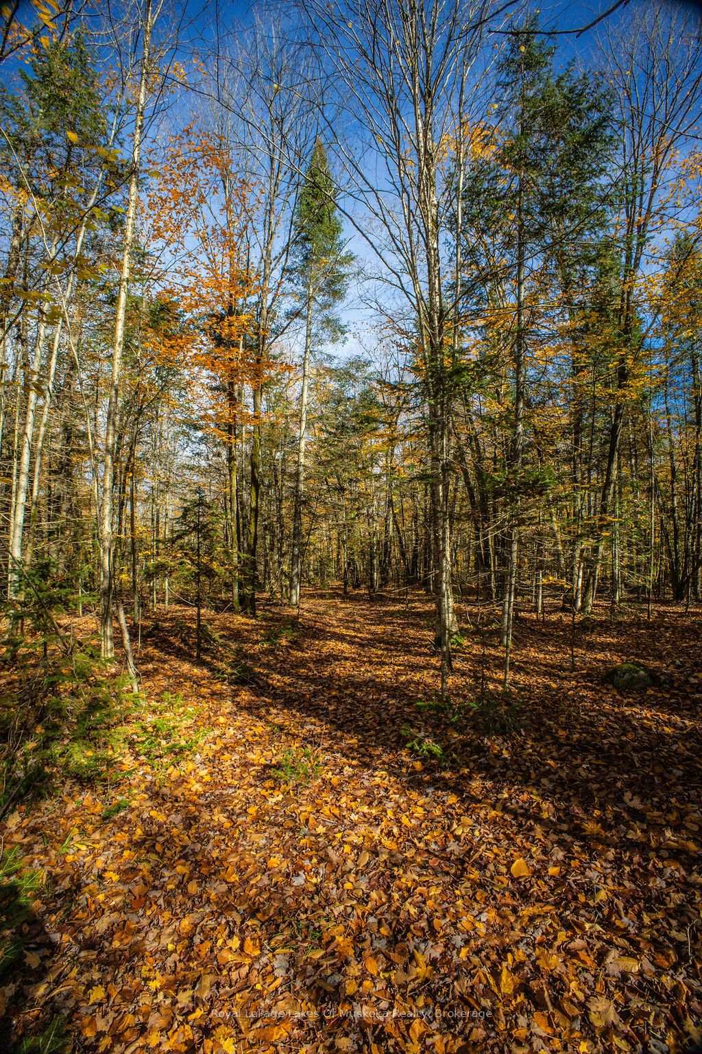 Photo 13 of Lakeshore Road, Armour — HOMEH