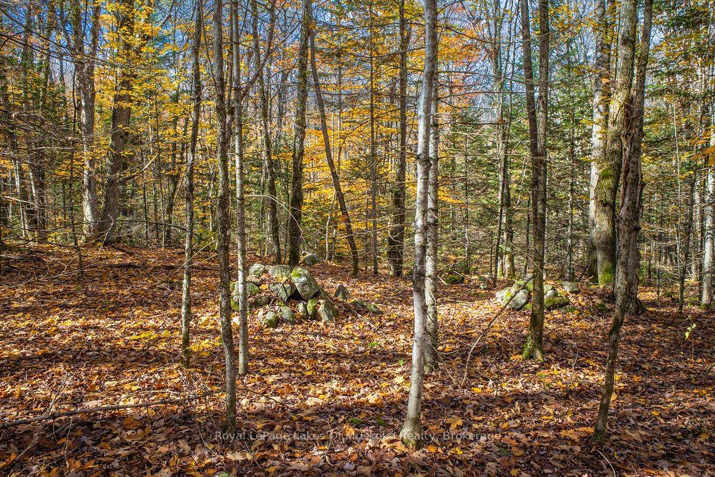 Photo 14 of Lakeshore Road, Armour — HOMEH