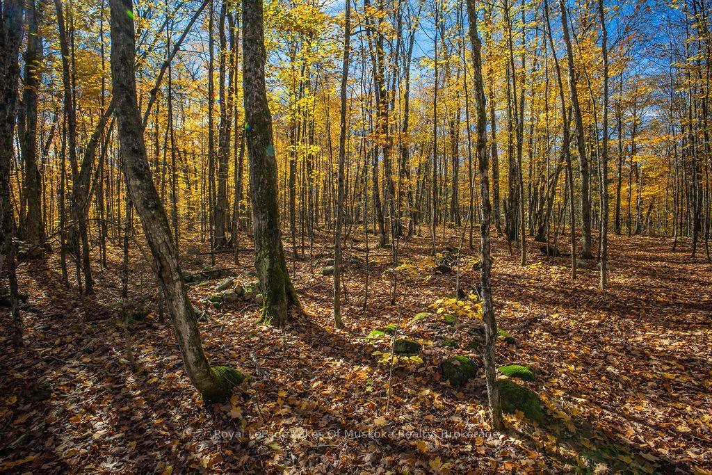 Photo 15 of Lakeshore Road, Armour — HOMEH