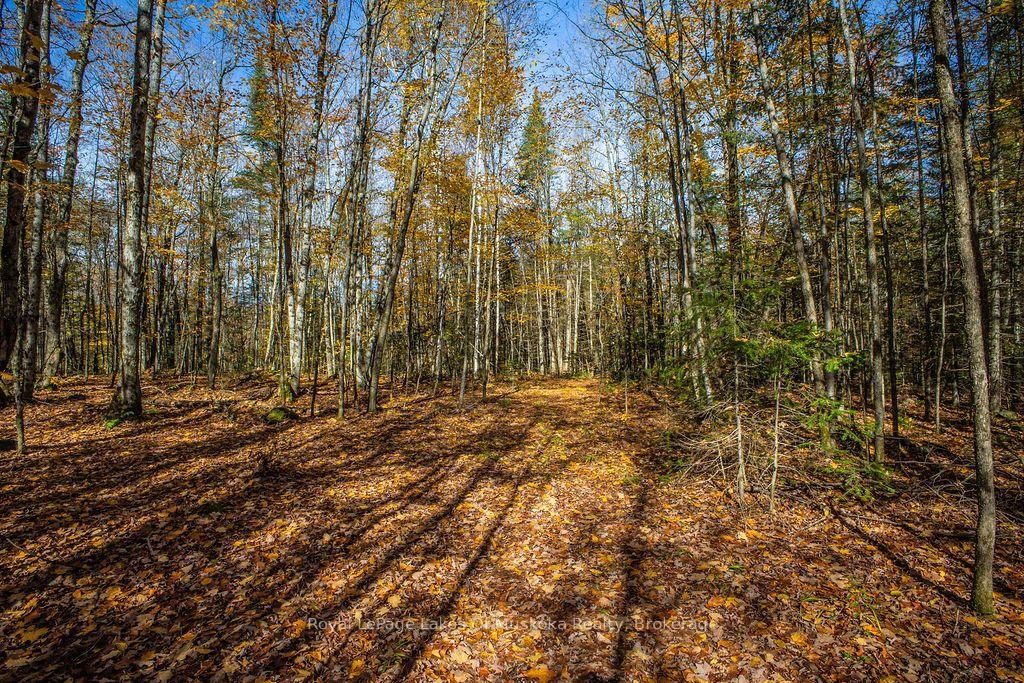 Photo 16 of Lakeshore Road, Armour — HOMEH