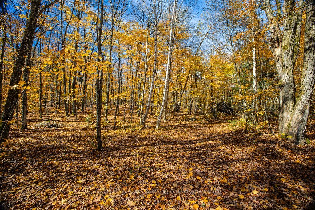 Photo 17 of Lakeshore Road, Armour — HOMEH