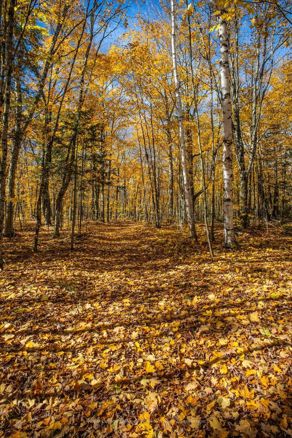 Photo 18 of Lakeshore Road, Armour — HOMEH