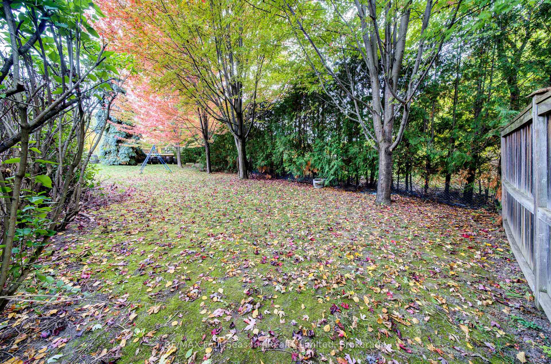 Photo 48 of 205 Bryan Drive, Collingwood — HOMEH