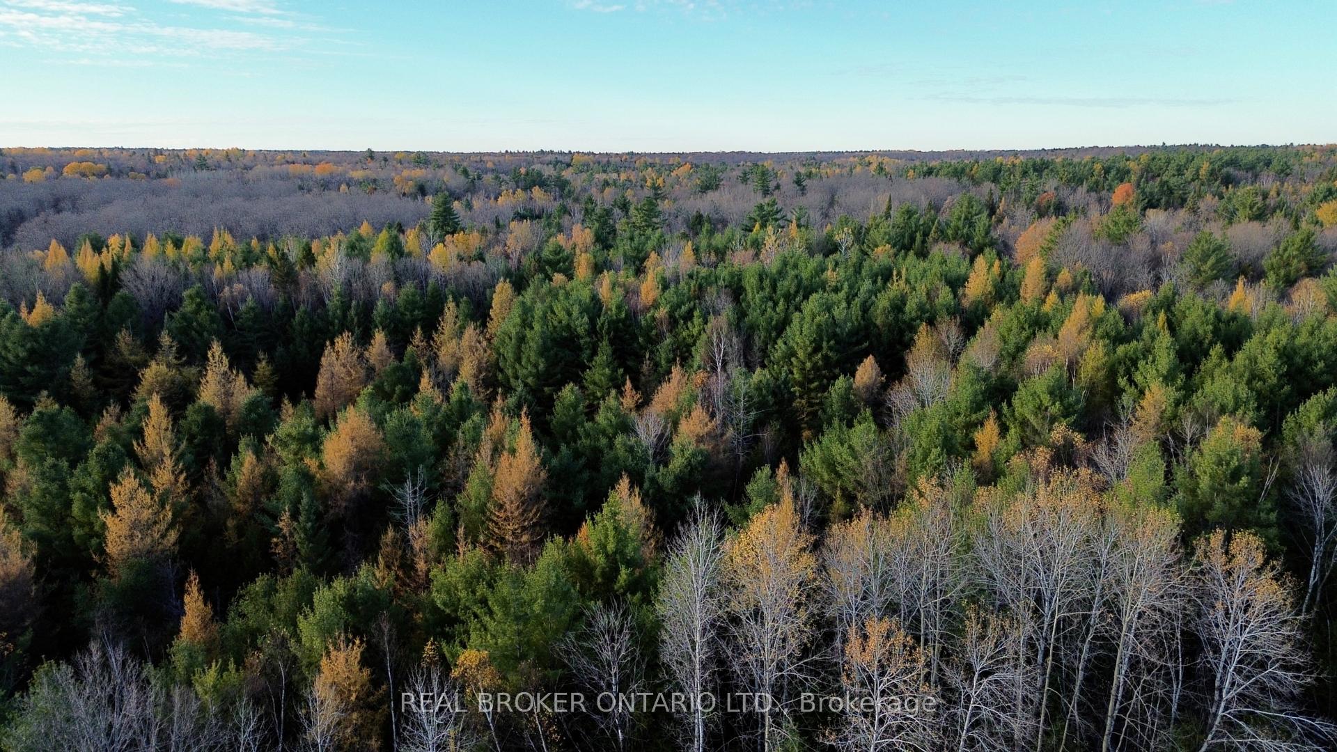 Photo 7 of Lot 2 Watsons Corners Road, Lanark Highlands, Lanark Highlands (Dalhousie) Twp — HOMEH