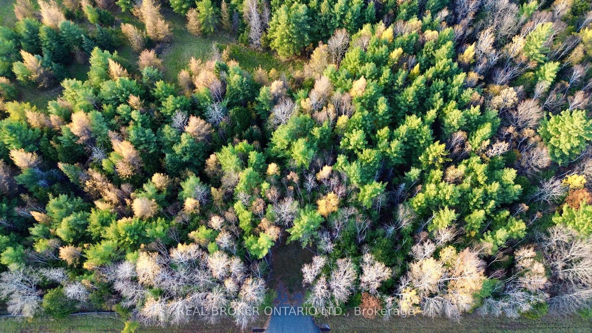 Photo 9 of Lot 2 Watsons Corners Road, Lanark Highlands, Lanark Highlands (Dalhousie) Twp — HOMEH