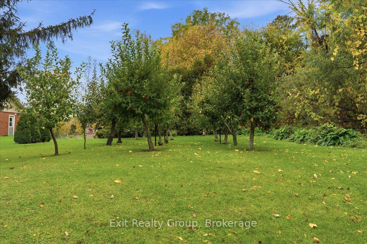 Photo 36 of 341 Downs Road, Quinte West, Murray Ward — HOMEH