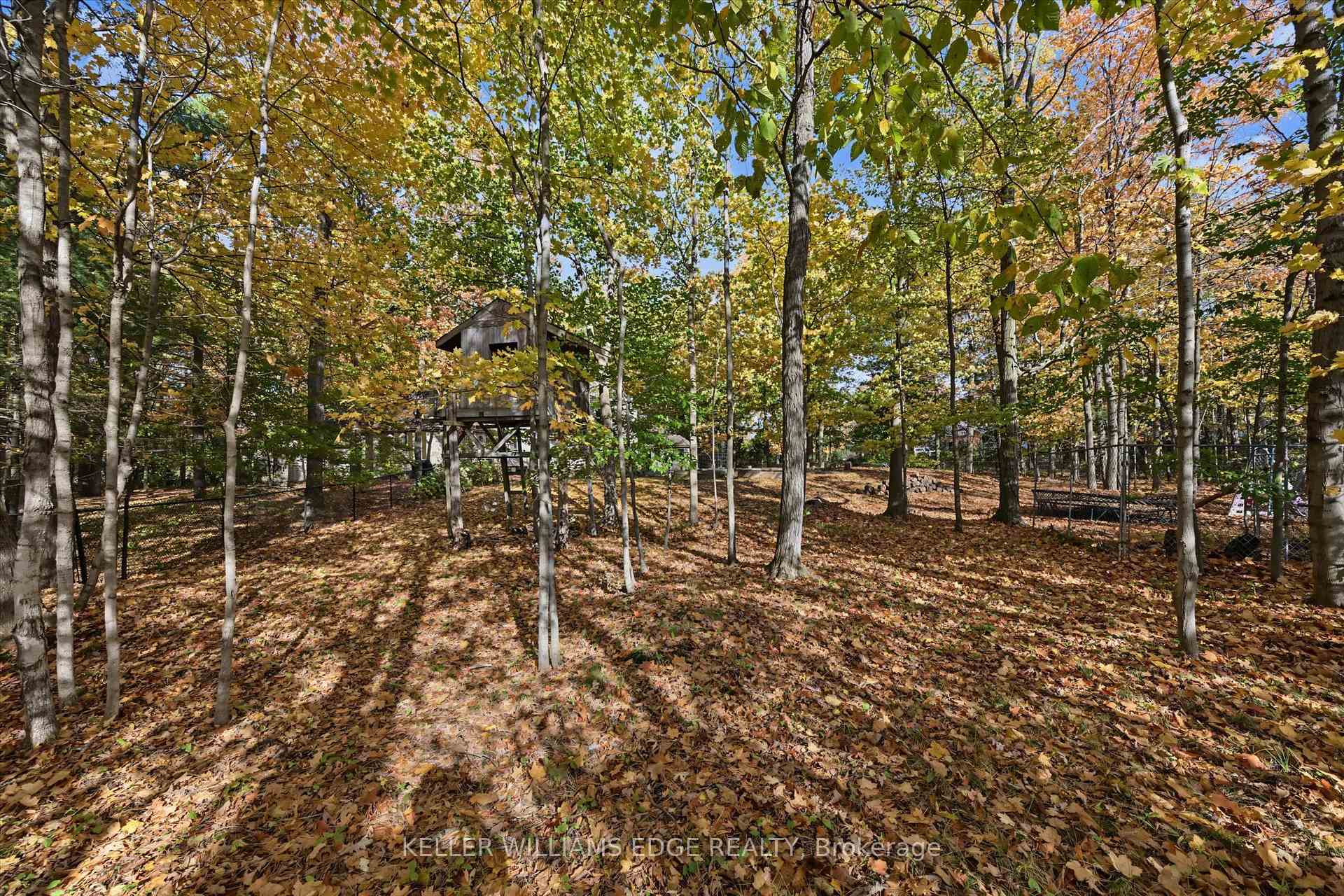 Photo 45 of 872 6th Conc Road W, Hamilton, Rural Flamborough — HOMEH