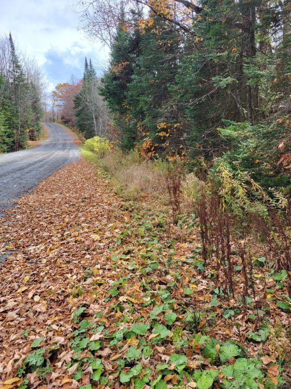 Photo 2 of Haines Lake Road, McDougall — HOMEH