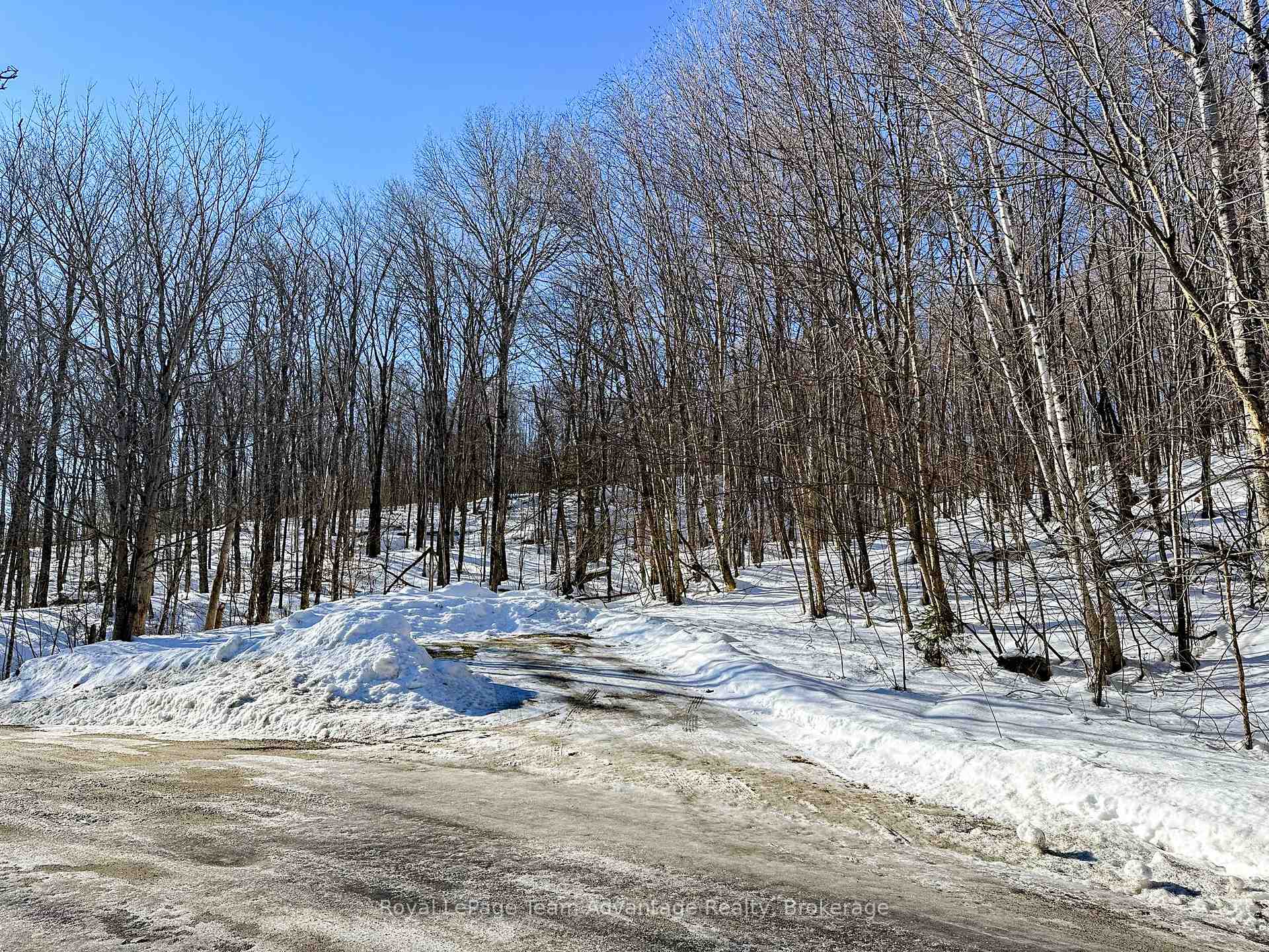 Photo 10 of Haines Lake Road, McDougall — HOMEH
