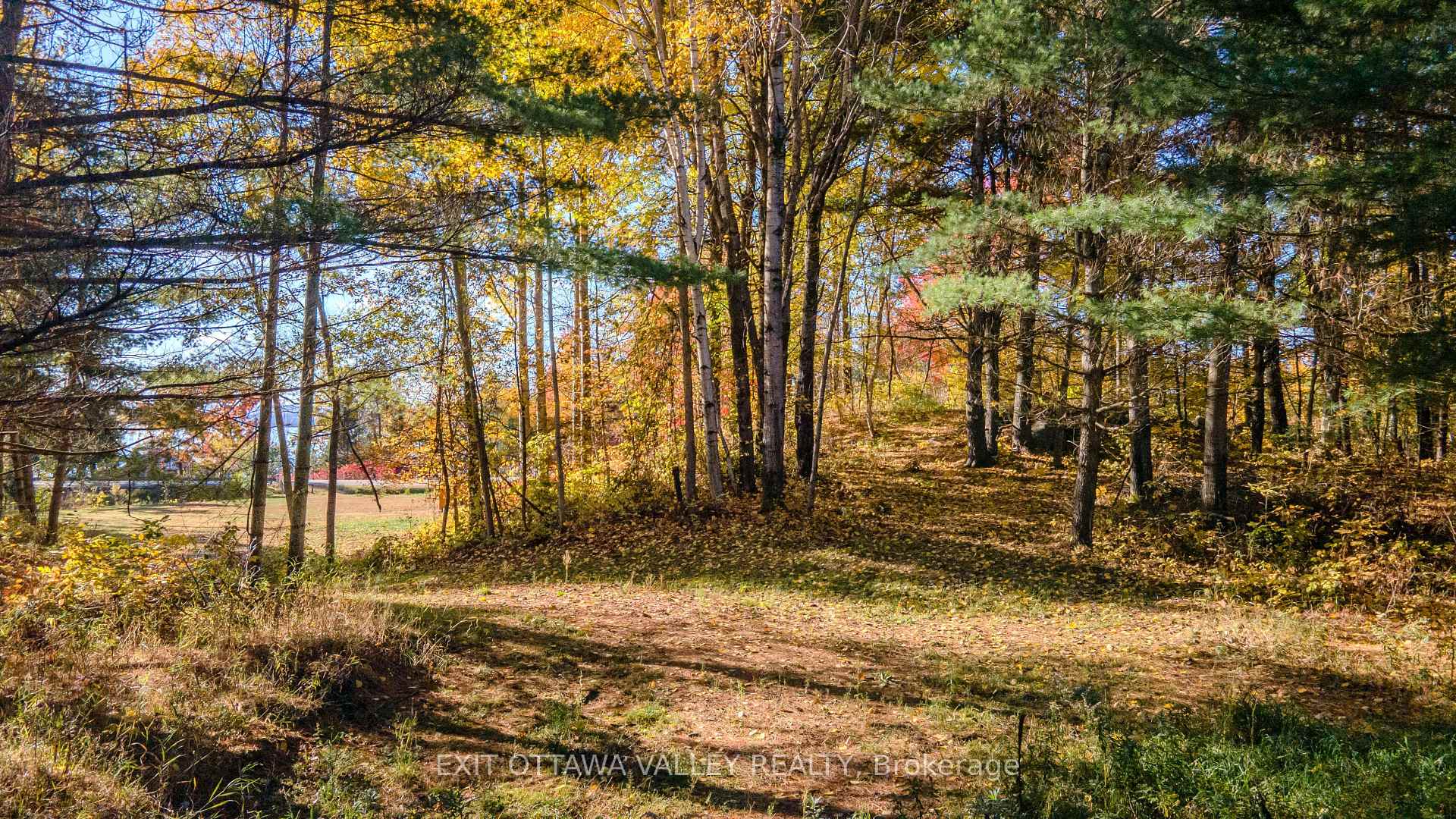 Photo 16 of 12894 Highway 60, North Algona Wilberforce, North Algona/Wilberforce Twp — HOMEH