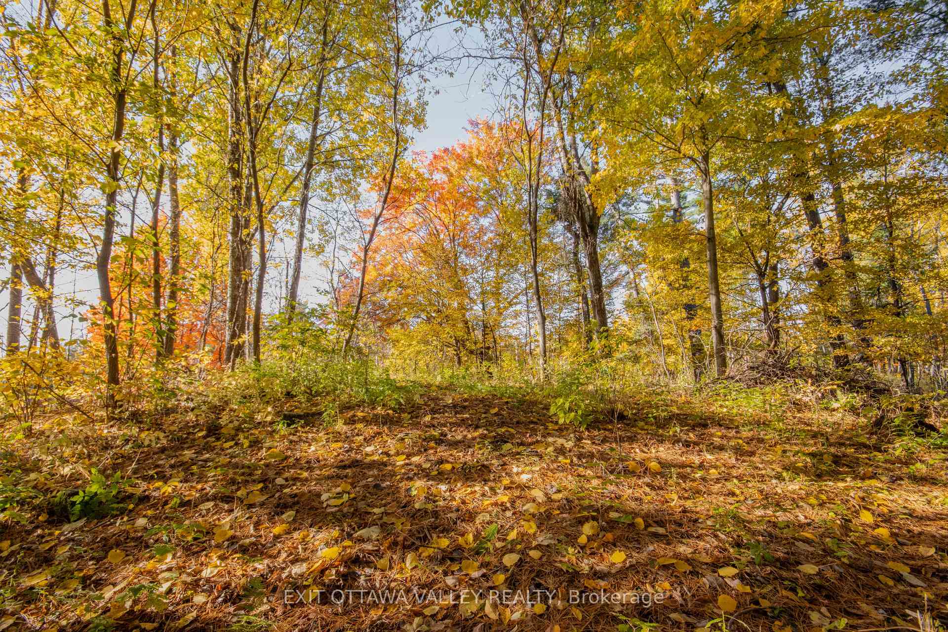 Photo 26 of 12894 Highway 60, North Algona Wilberforce, North Algona/Wilberforce Twp — HOMEH