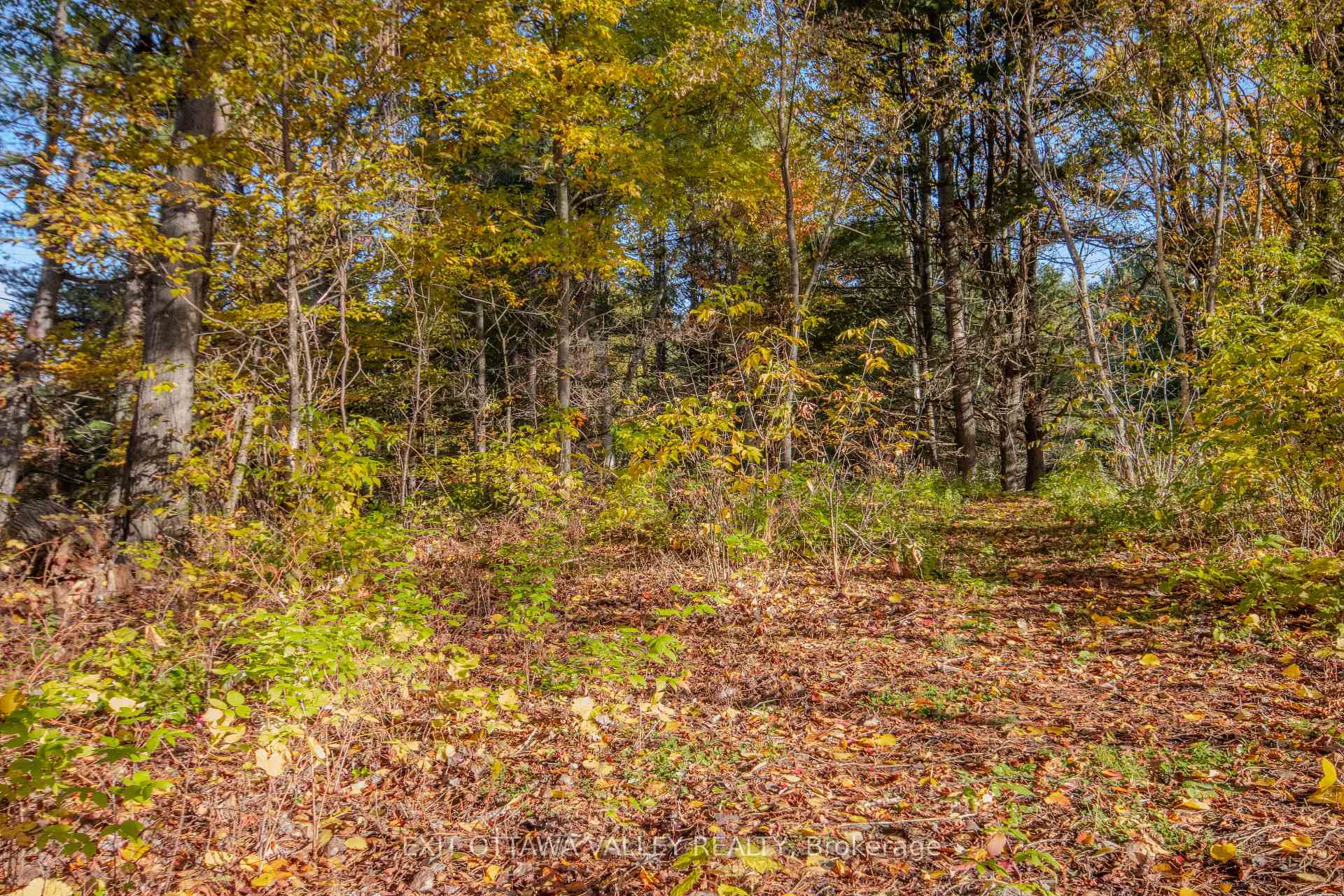 Photo 34 of 12894 Highway 60, North Algona Wilberforce, North Algona/Wilberforce Twp — HOMEH