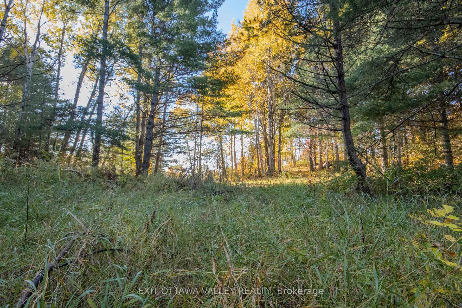 Photo 37 of 12894 Highway 60, North Algona Wilberforce, North Algona/Wilberforce Twp — HOMEH