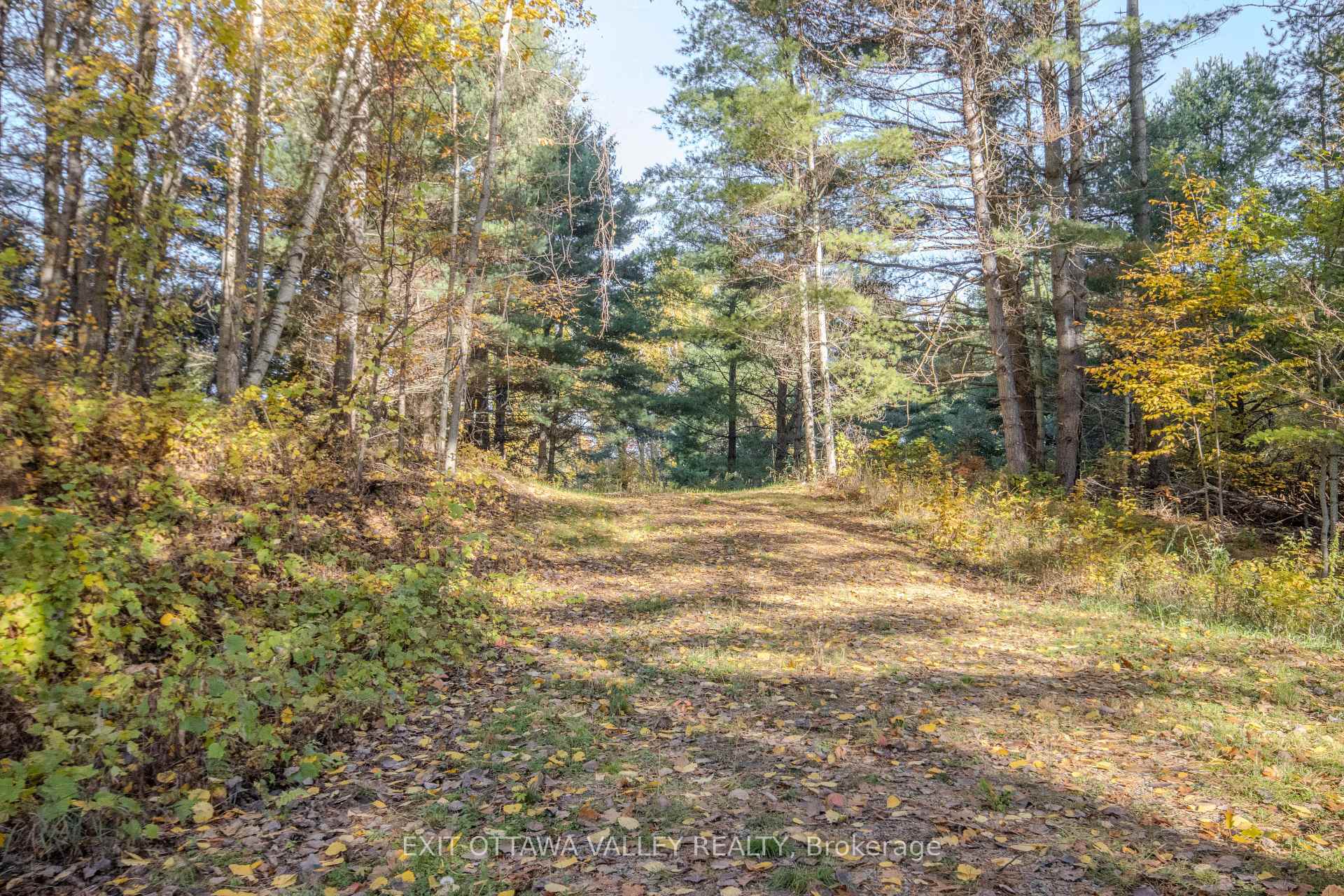 Photo 44 of 12894 Highway 60, North Algona Wilberforce, North Algona/Wilberforce Twp — HOMEH
