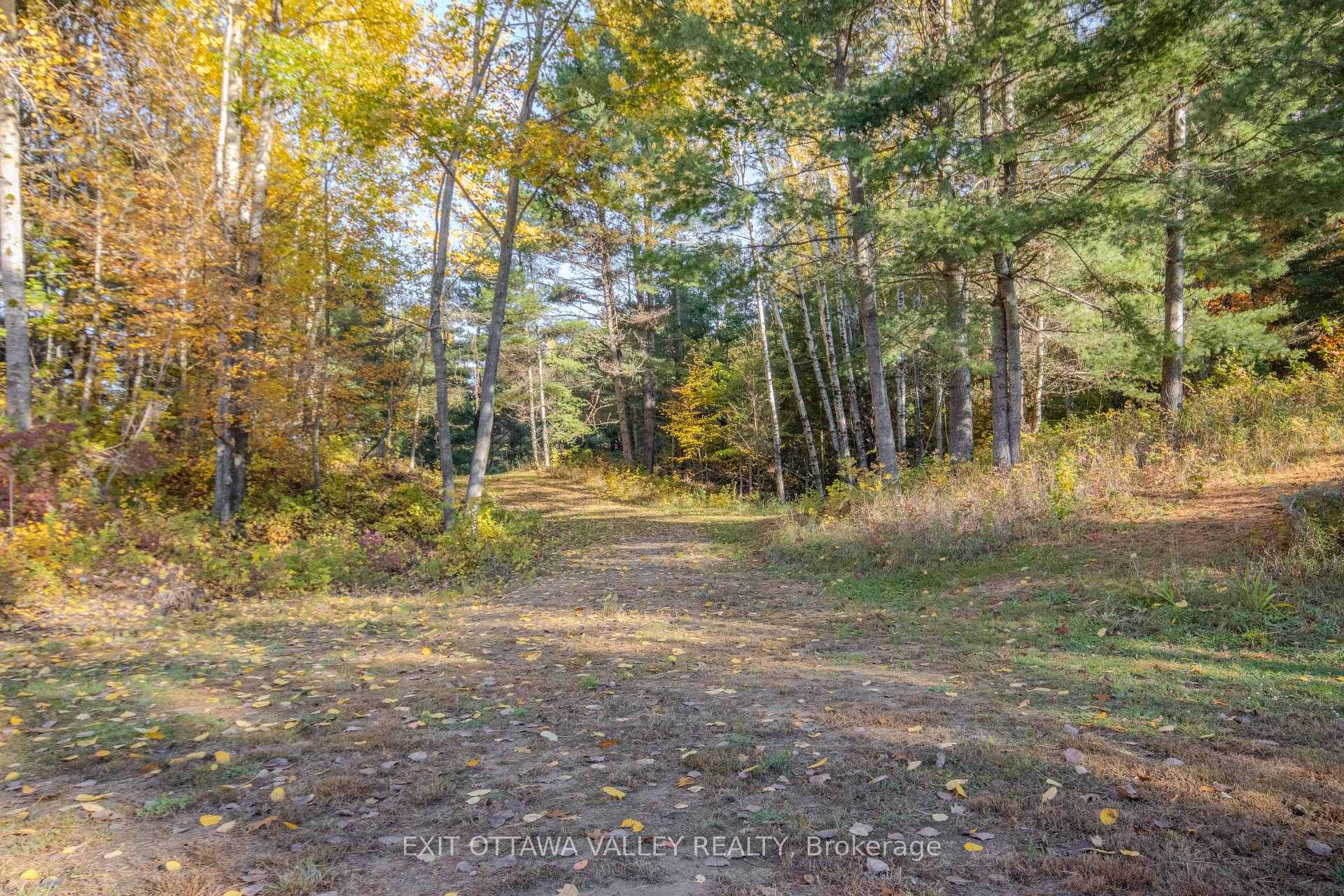 Photo 45 of 12894 Highway 60, North Algona Wilberforce, North Algona/Wilberforce Twp — HOMEH