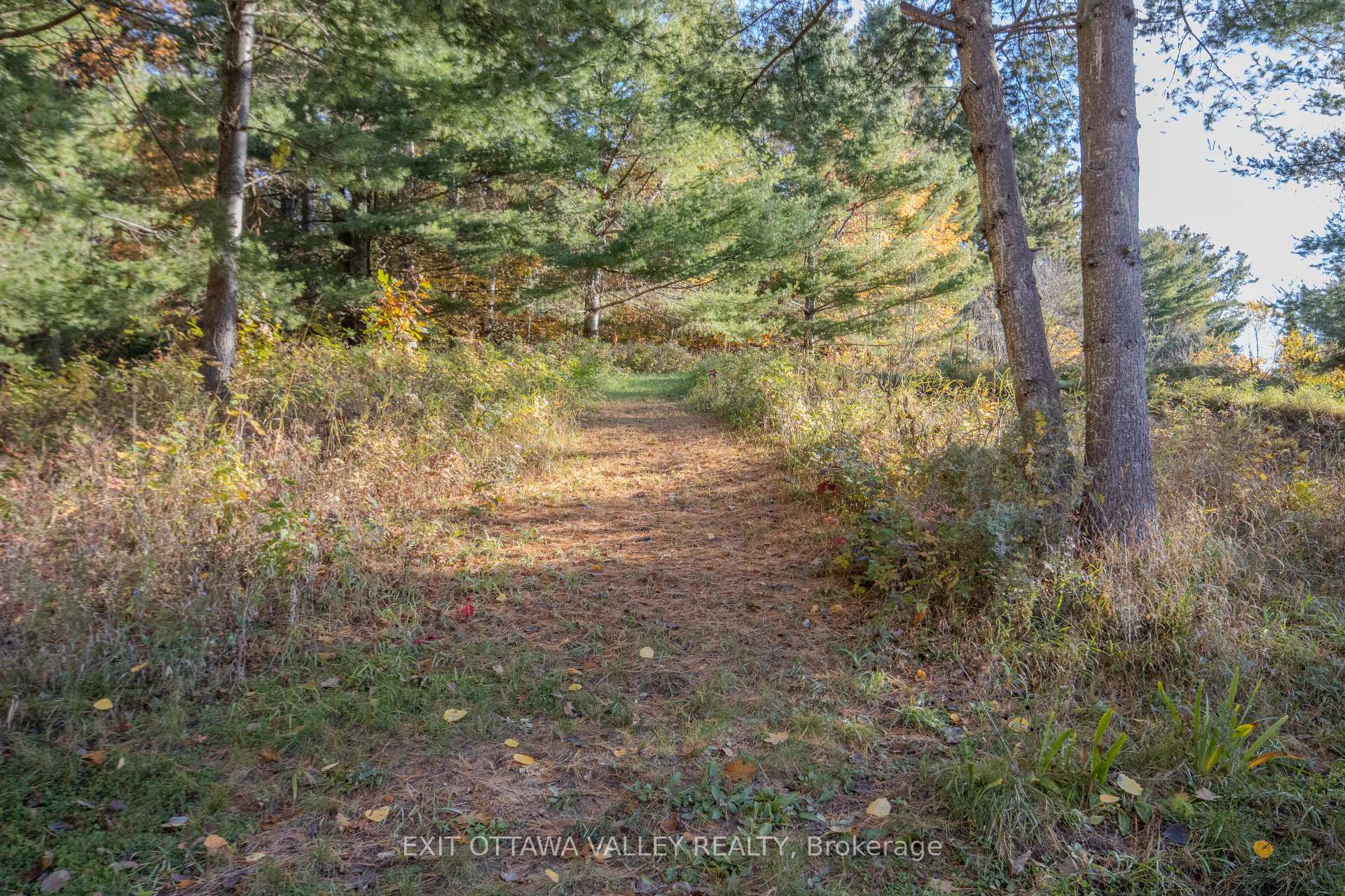 Photo 46 of 12894 Highway 60, North Algona Wilberforce, North Algona/Wilberforce Twp — HOMEH